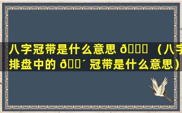 八字冠带是什么意思 🐕 （八字排盘中的 🌴 冠带是什么意思）